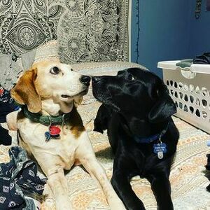 Fundraising Page: Olivia Arges